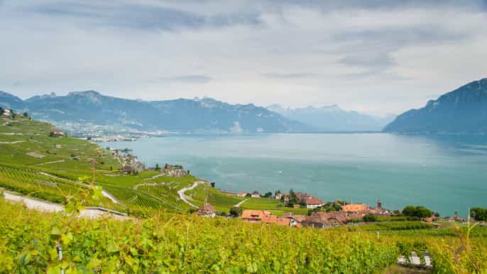 montreux lavaux sightseeing trolley tour from vevey