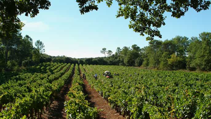 luberon tour de um dia inteiro a partir de marselha