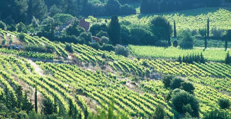 wine tours near marseille