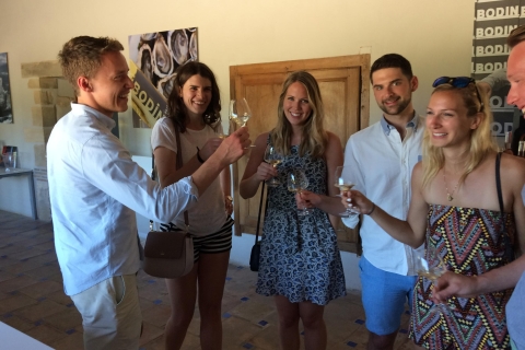 Vanuit Marseille: wijntour van een dag naar Bandol en Cassis