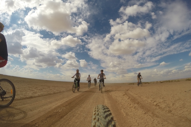 Ammán: Castillos del Desierto de Azraq y Humedales en bicicleta