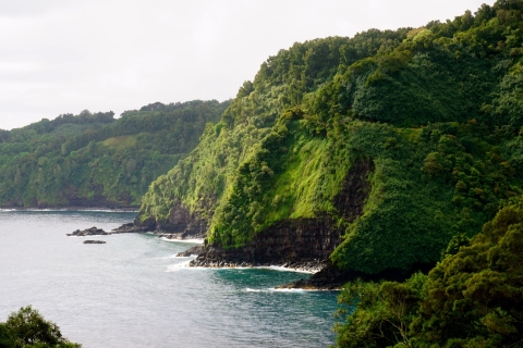 Maui: visite guidée privée à mi-chemin de HanaPropre transport - Point de rencontre