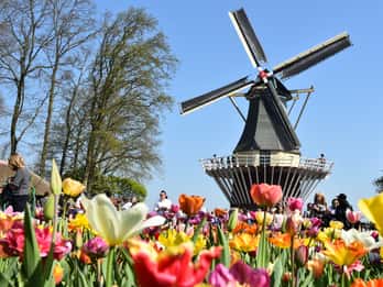 Ab Den Haag: Keukenhof und Blumenfelder Ab Den Haag: Keukenhof und Blumenfelder