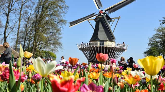 keukenhof flowerfields de haia