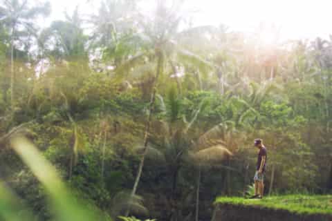 Bali Eat Pray Love Private Tour