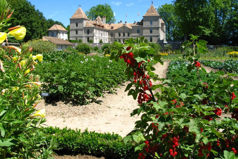 Prangins, Lago Lemán: Château de Prangins Ticket de entrada