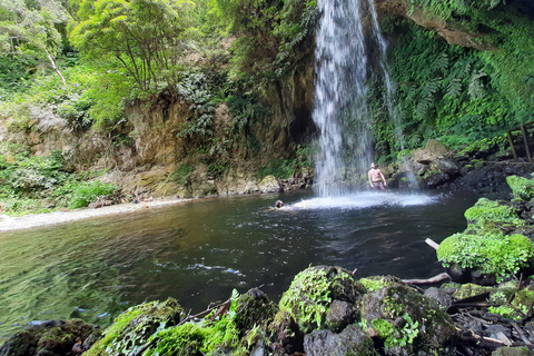 São Miguel: Moinho do Felix-Wanderung mit Besuch der Teefabrik