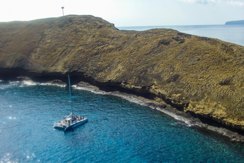 Maui: Molokini Snorkel & Performance Sail avec déjeuner