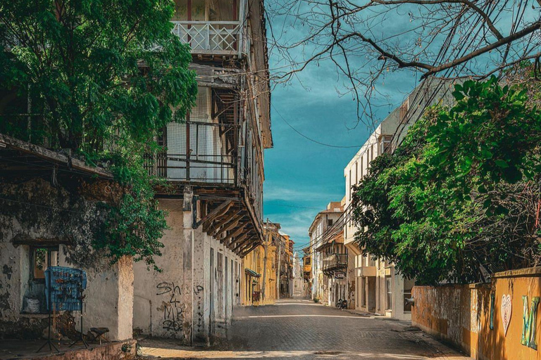 Mombasa: Tour di un giorno della città: Storia/Arte/Selvaggio