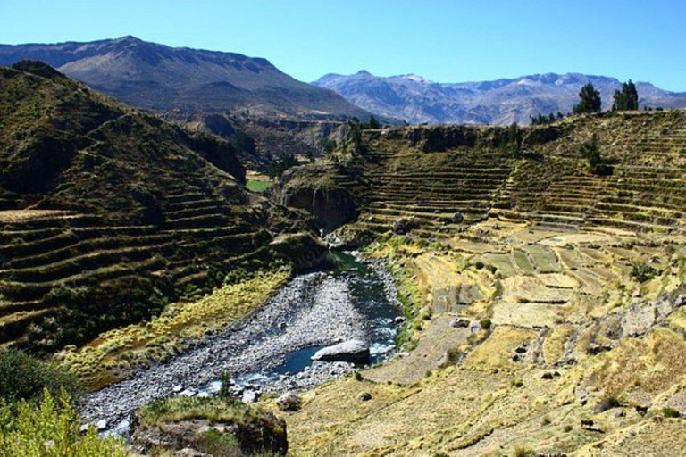 Arequipa: Colca Canyon Trekking 3-Day Tour & 2 Nights