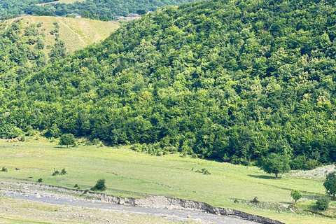 3N/4D Baku, Qusar, Rote Stadt, Qechresh Wald (Übernachtung inklusive)