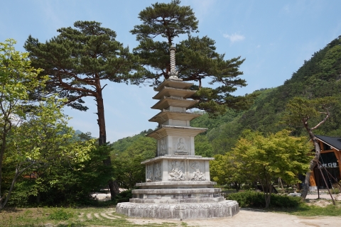 Desde Seúl: ruta al Monte Seorak y templo Naksans/Isla NamiExcursión compartida Naksansa, Encuentro en la estación DDP (Dongdaemun)