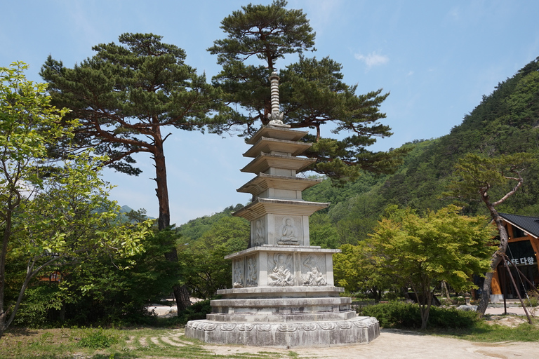 Van Seoul: Mt Seorak-wandeling en Naksansa-tempel / Nami-eilandNaksansa gedeelde tour, ontmoeten op DDP Station (Dongdaemun)