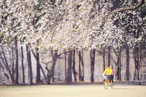 mt. seorak hike and nami island korean beauty scenery tour