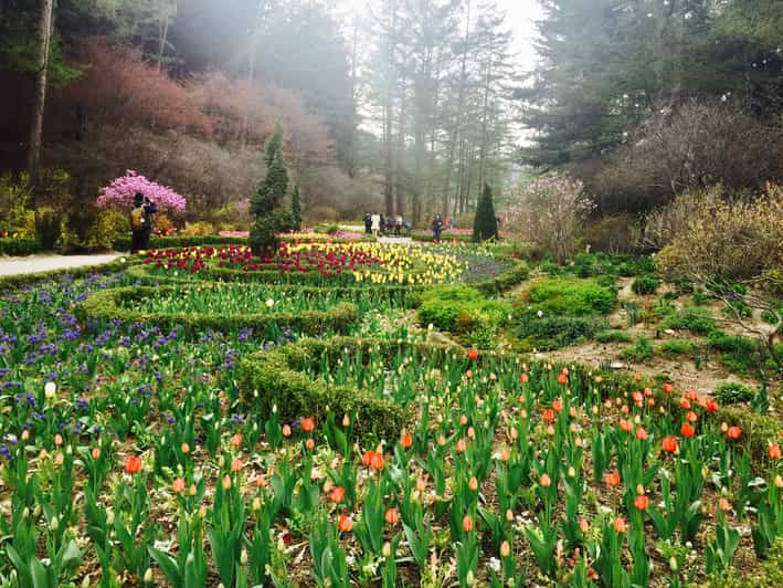 Namiseom Jardín De La Calma Matutina Y Carril Bici Getyourguide