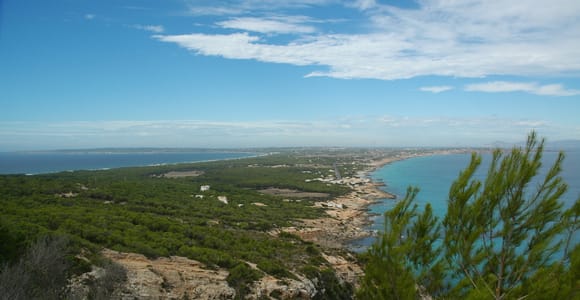 From Ibiza: Ferry and Guided Bus Excursion in Formentera