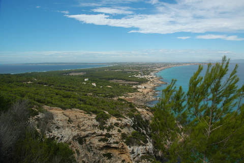 Da Ibiza: Escursione in traghetto e bus guidato a FormenteraPrelievo da Ibiza, San Antonio e Santa Eulària