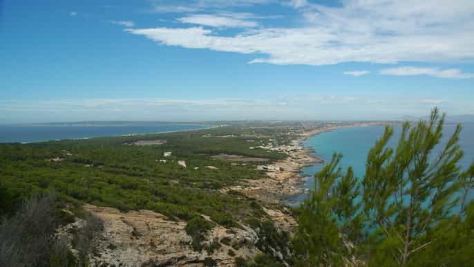 Desde Ibiza: excursión guiada a Formentera