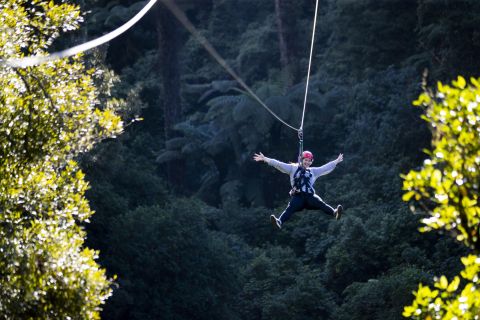 Rotorua : Ultimate Zipline Forest Canopy Tour (en anglais)