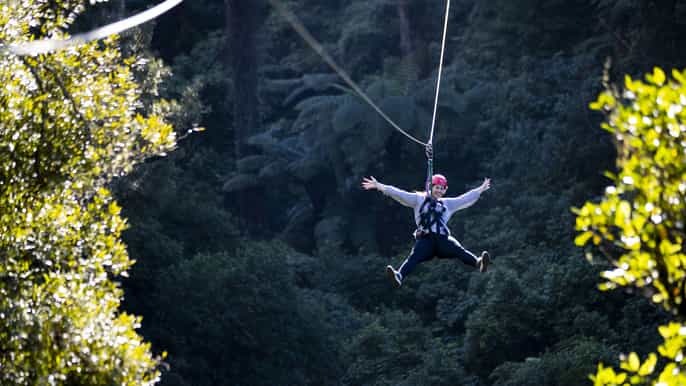 rotorua ultimate zipline forest canopy tour