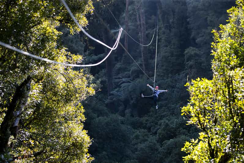 Rotorua Ultimate Zipline Forest Canopy Tour GetYourGuide
