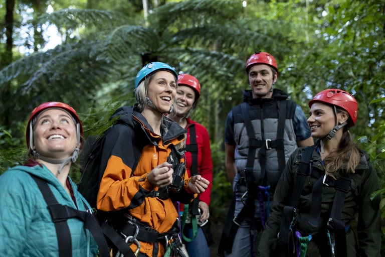 Rotorua Forest 3-uur durende Zipline Canopy Tour