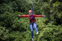 Rotorua, Guided Zipline Adventure Tour with Photos - Housity