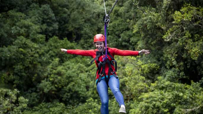 rotorua forest 3hour zipline canopy tour