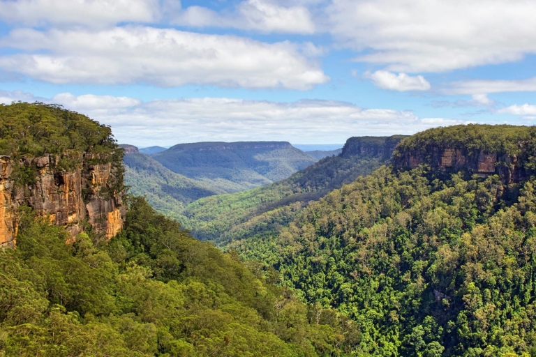 Sydney: visite en petit groupe de la faune, des cascades et du vin