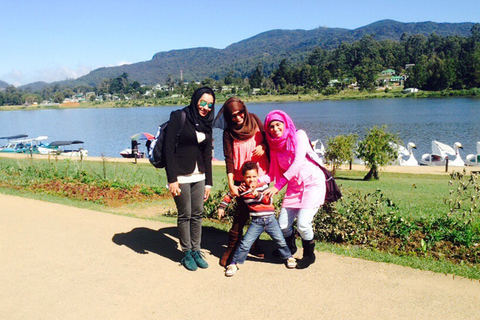 Sri Lanka: 8-Days Tour from the Airport with Private Guide 8 Days Tour with Flat Roof Van