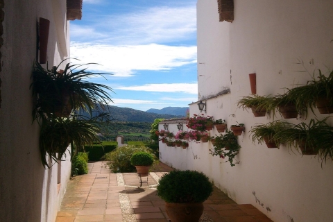 Depuis Séville : 1 journée à Ronda et les villages blancs