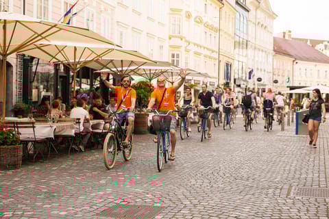 Ljubljana: 3–Hour Bike Cruise