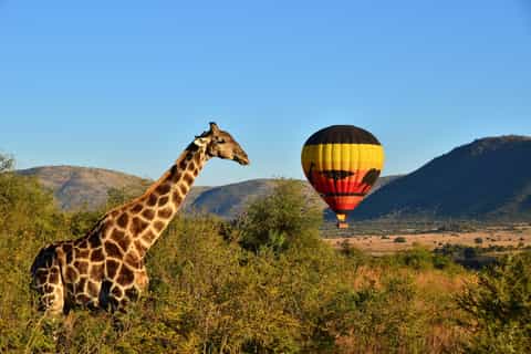 Pilanesberg, Sun City and Valley of the Waves Waterpark