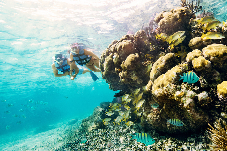 Cancún: 2 horas de experiencia en lancha rápida