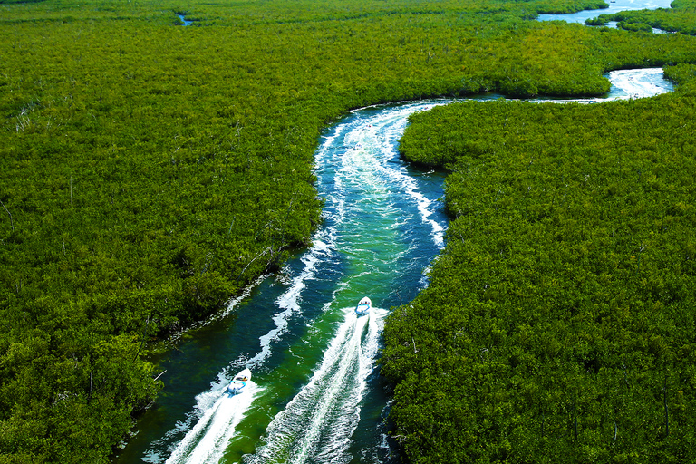 Cancun: 2-Hour Speedboat ExperienceCancun: esperienza in motoscafo di 2 ore