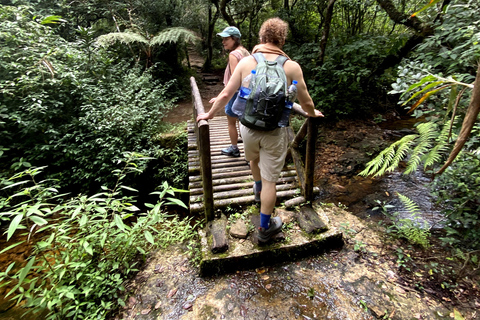 Tedo 7 Waterfalls Peak Adventure – Knuckles Mountain Range