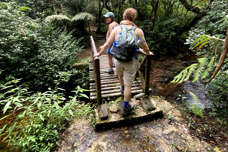 Tedo 7 Waterfalls Peak Adventure – Knuckles Mountain Range