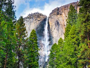 Ab San Francisco: Besuch des Yosemite Nationalparks Ab San Francisco: Besuch des Yosemite Nationalparks