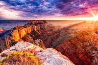 LA, SF, Yosemite, Grand Canyon, and Las Vegas 7-Day Trip - Housity