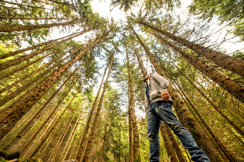 From San Francisco: Muir Woods Guided Bus Tour