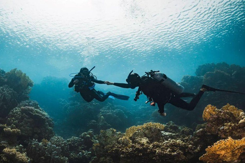 AlUla to Red Sea Islands Tour with Snorkeling and Kayaking