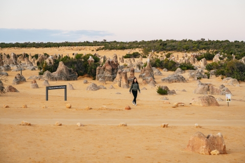 Perth : désert des Pinacles au coucher du soleil avec dîner