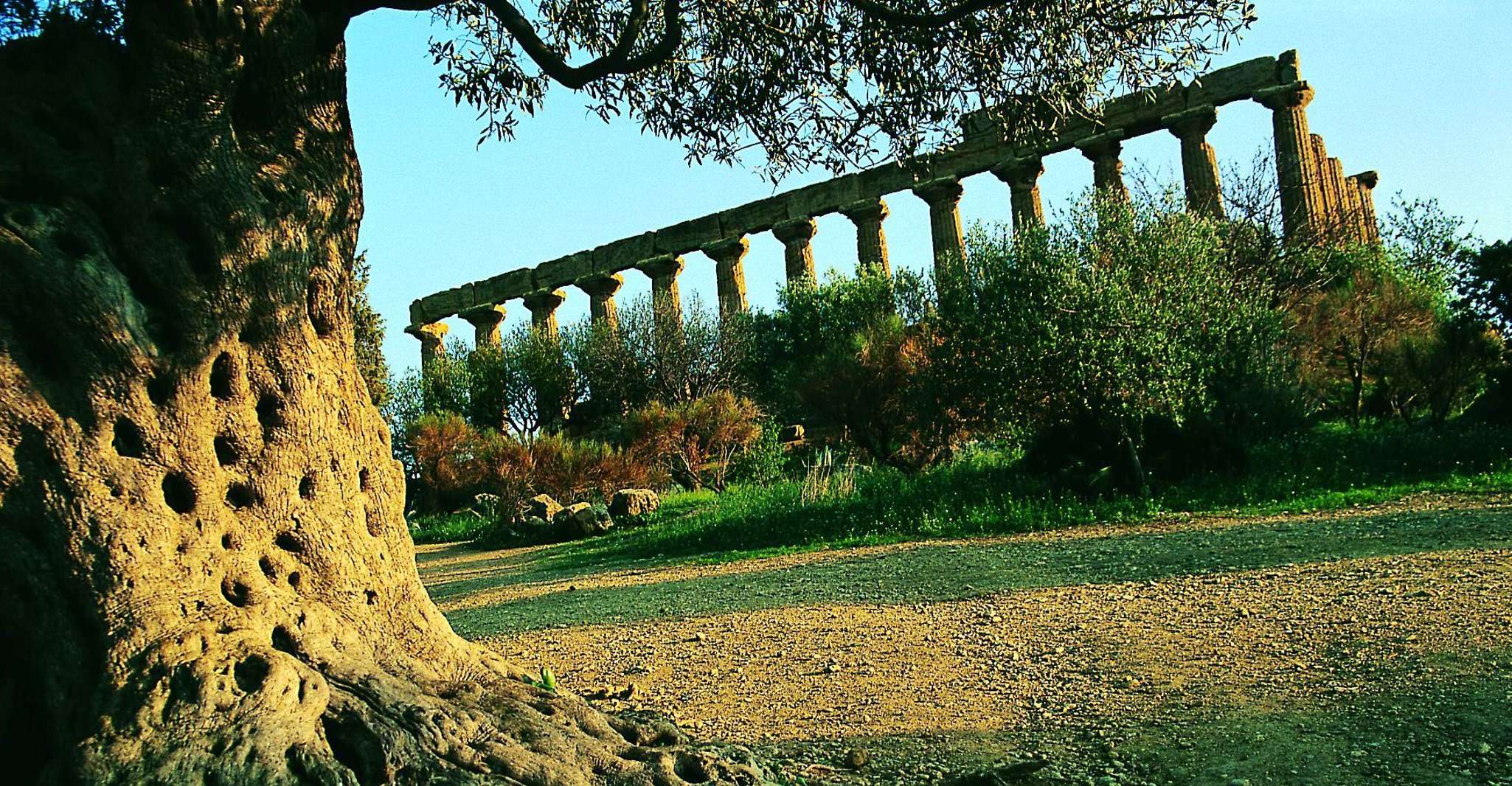 From Taormina, Valley of The Temples & Piazza Armerina Tour - Housity