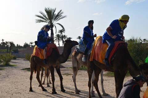 Marrakech : balade à chameau avec pause théBalade à chameau dans la palmeraie avec pause thé