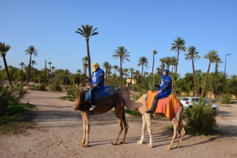 Marrakech : balade à chameau avec pause théBalade privée à chameau dans la palmeraie avec pause thé