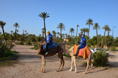 Nos arredores de Marrakech: Passeio de camelo em Palm Groves incluindo cháPasseio de camelo