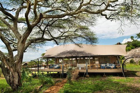 6 days Tanzania Safari & Cultural tour, wildlife wonder