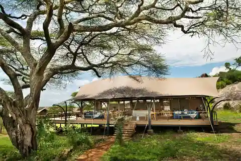 Safari de 6 días por Tanzania y viaje cultural, maravilla de la vida salvaje