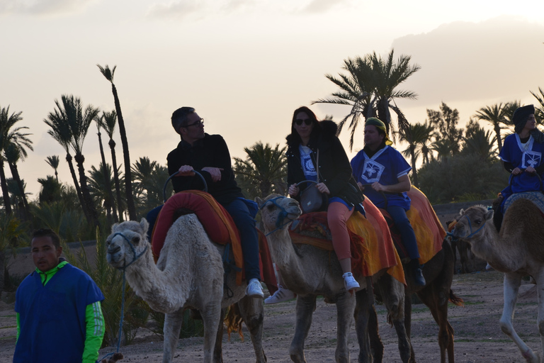 Around Marrakech: Camel Ride in Palm Groves including TeaCamel ride &amp; Quad bike ride