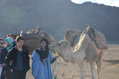 Vanaf Marrakesh: 2-daagse Zagora Sahara WoestijntourExcursie met standaard tentenkamp